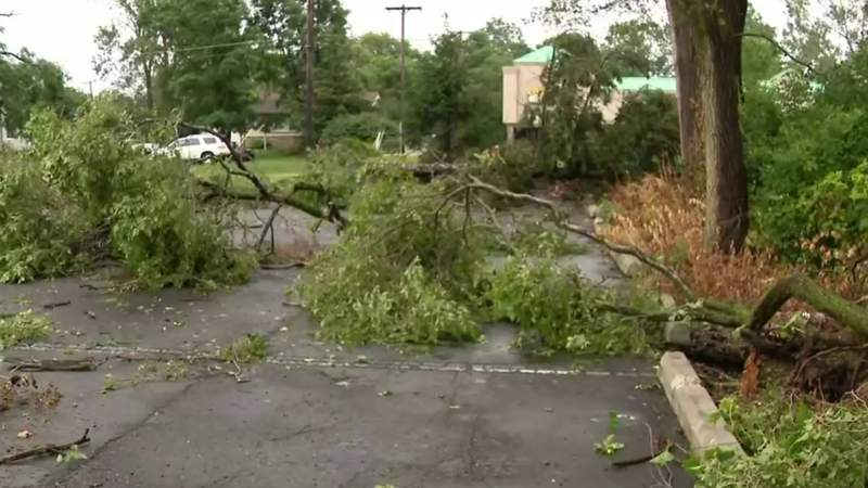 Trees come down, causing damage in Walled Lake and Wolverine Lake after storms