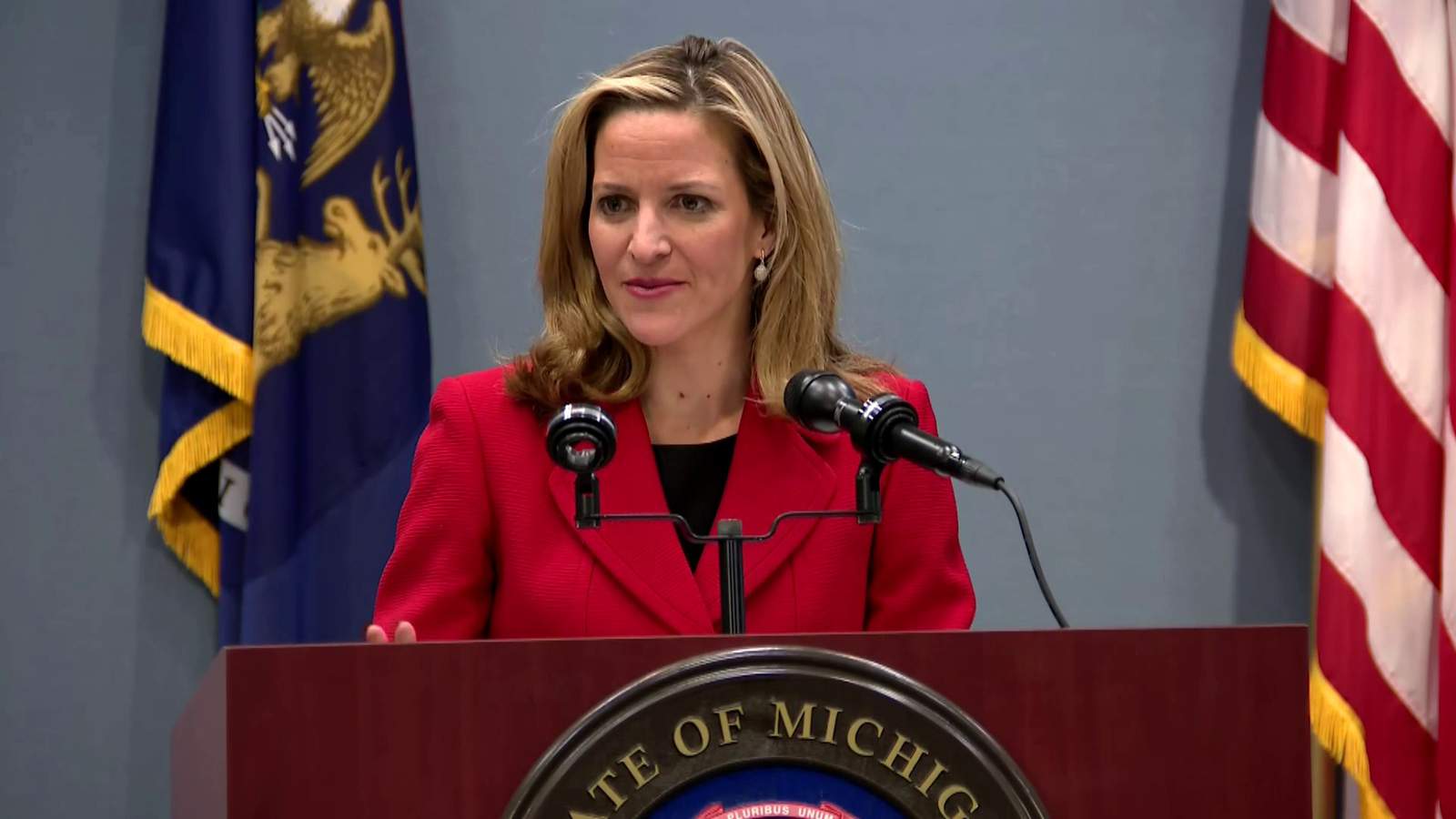 Watch: Michigan Secretary of State discusses customer service challenges