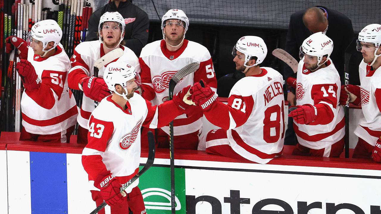 Examining 5 groups of Red Wings on roster, in system