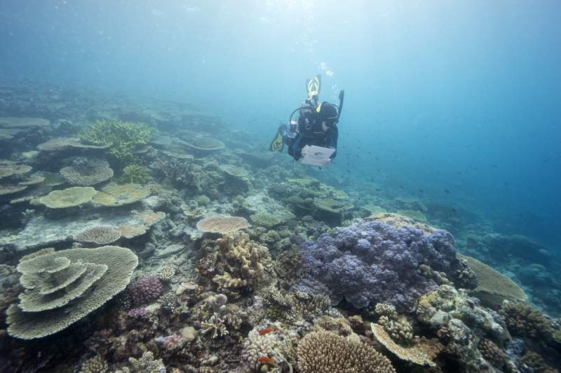 Australia avoids UNESCO downgrade of Great Barrier Reef