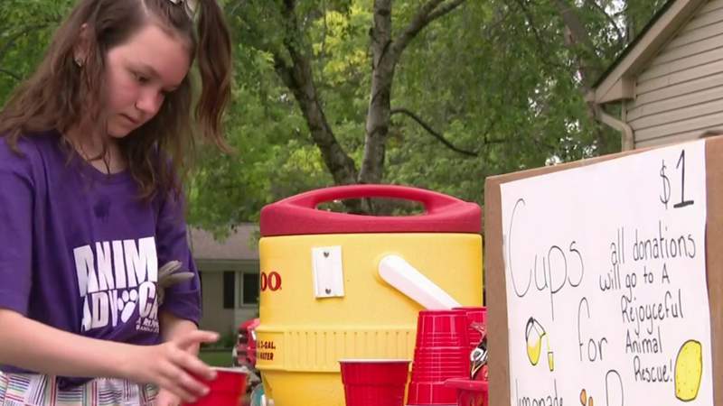 Girl raises money for pets by hosting Clinton Township lemonade stand fundraiser on her birthday