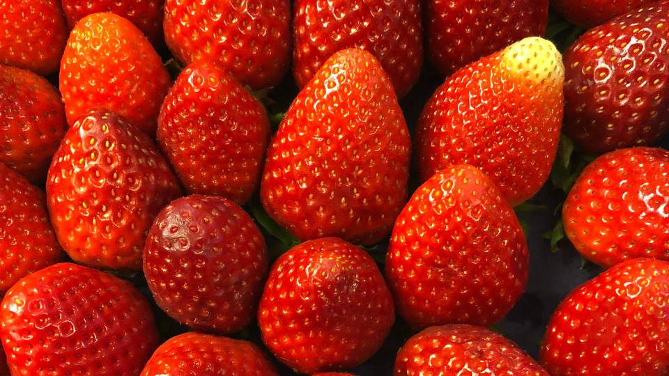 German court: Amazon must divulge origin of fruit, produce