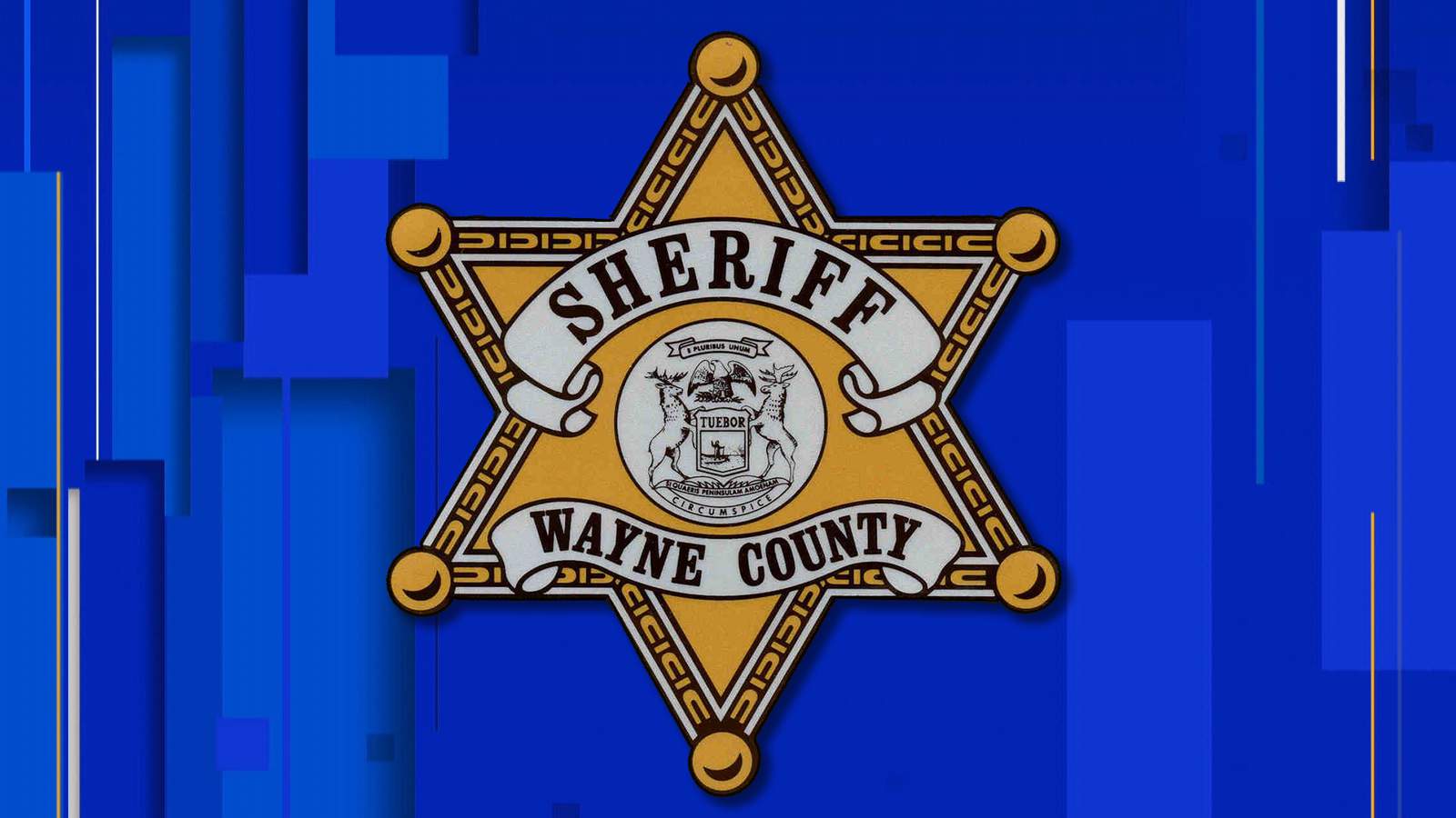 14 applicants being interviewed for appointment of Wayne County sheriff