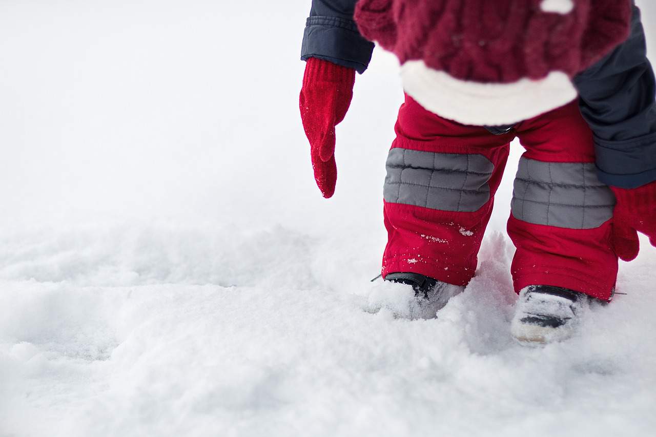 Build a kid-friendly winter obstacle course inspired by U-M gardens, arboretum staff