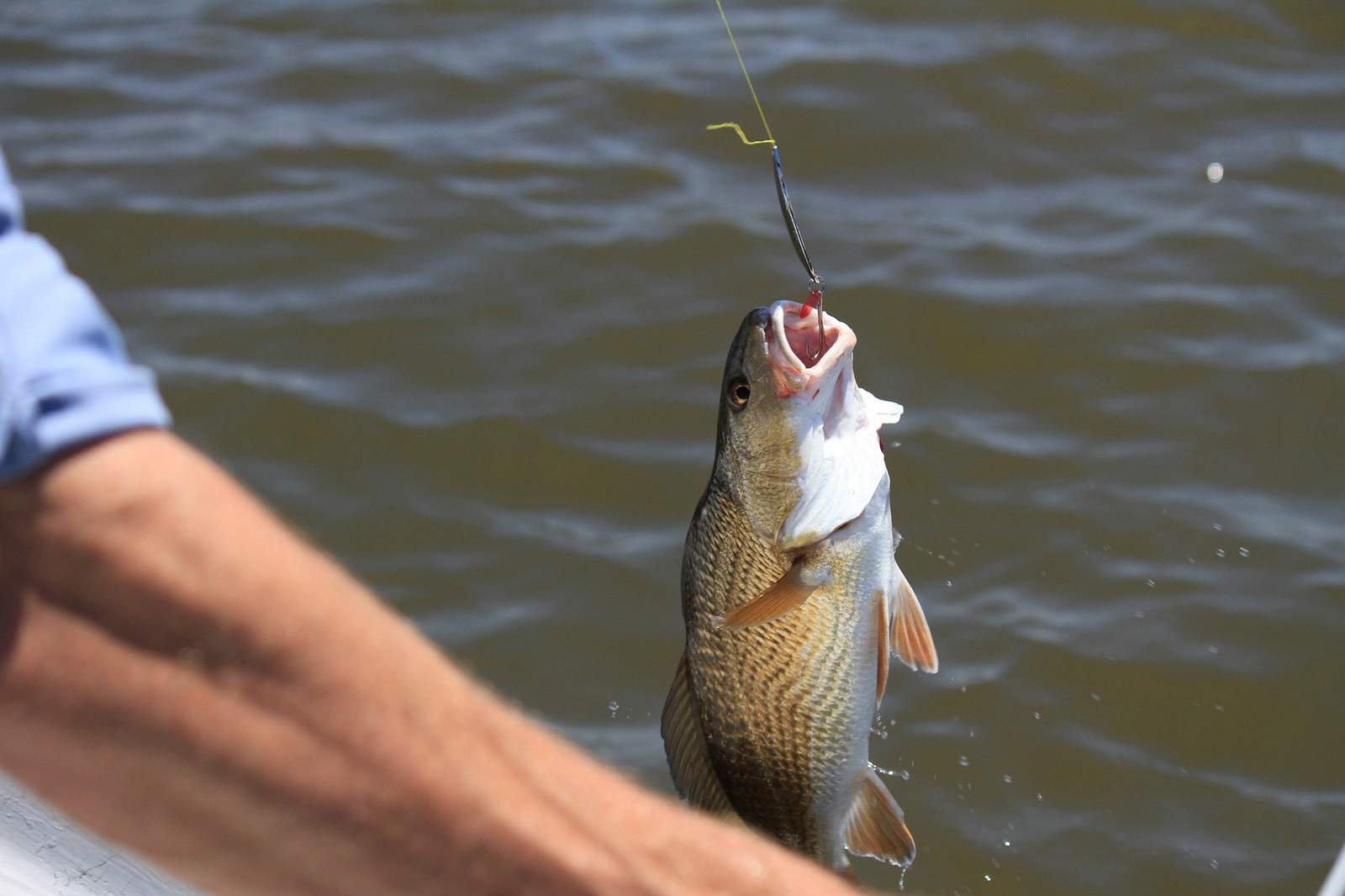Here are some of the best places to go fishing in Michigan