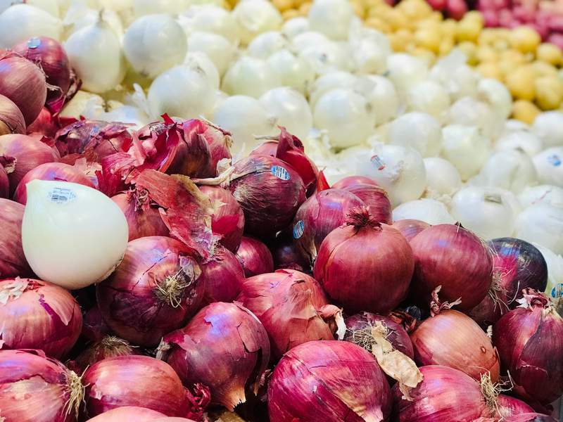CDC: Salmonella outbreak linked to onions reported in 37 states, including Michigan