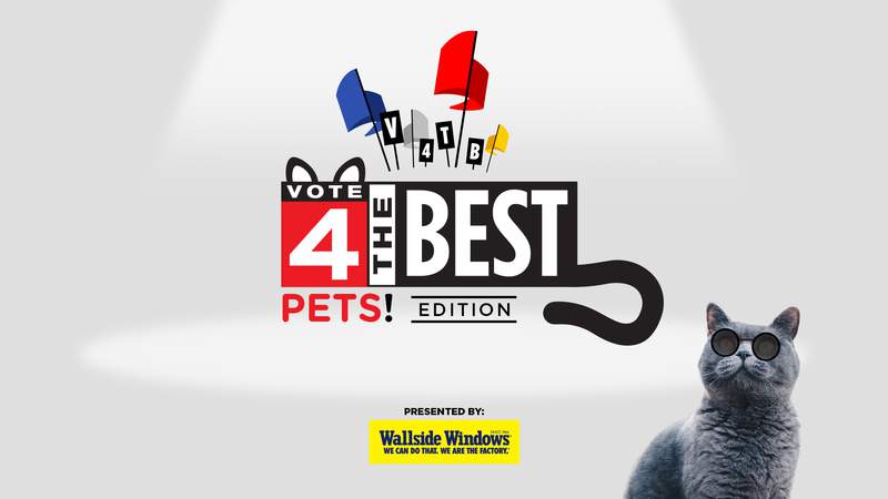 VIDEO: V4TB Pets Winners announced on Local 4 News