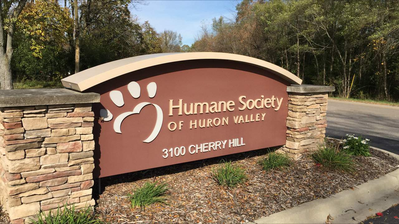 Humane Society of Huron Valley seeks tips on mutilated dog found in Ypsilanti