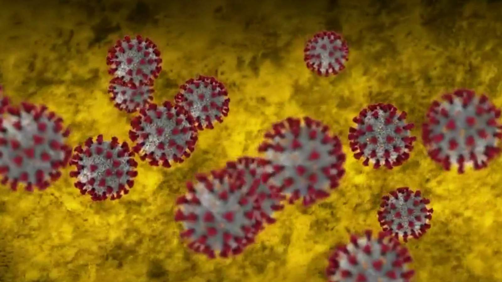 Researchers find that coronavirus can survive 28 days on currency, glass and stainless steel in a controlled environment