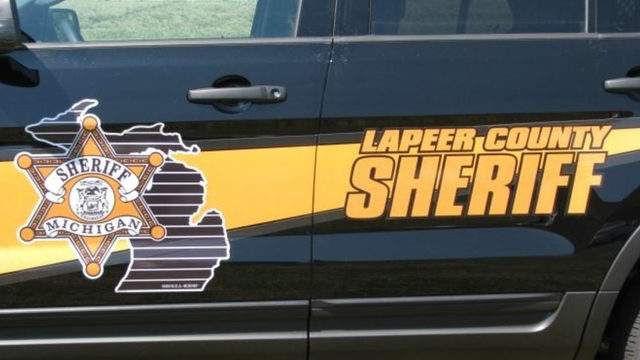 Man, 2 dogs killed by hit-and-run driver while walking along road in Lapeer; woman arrested
