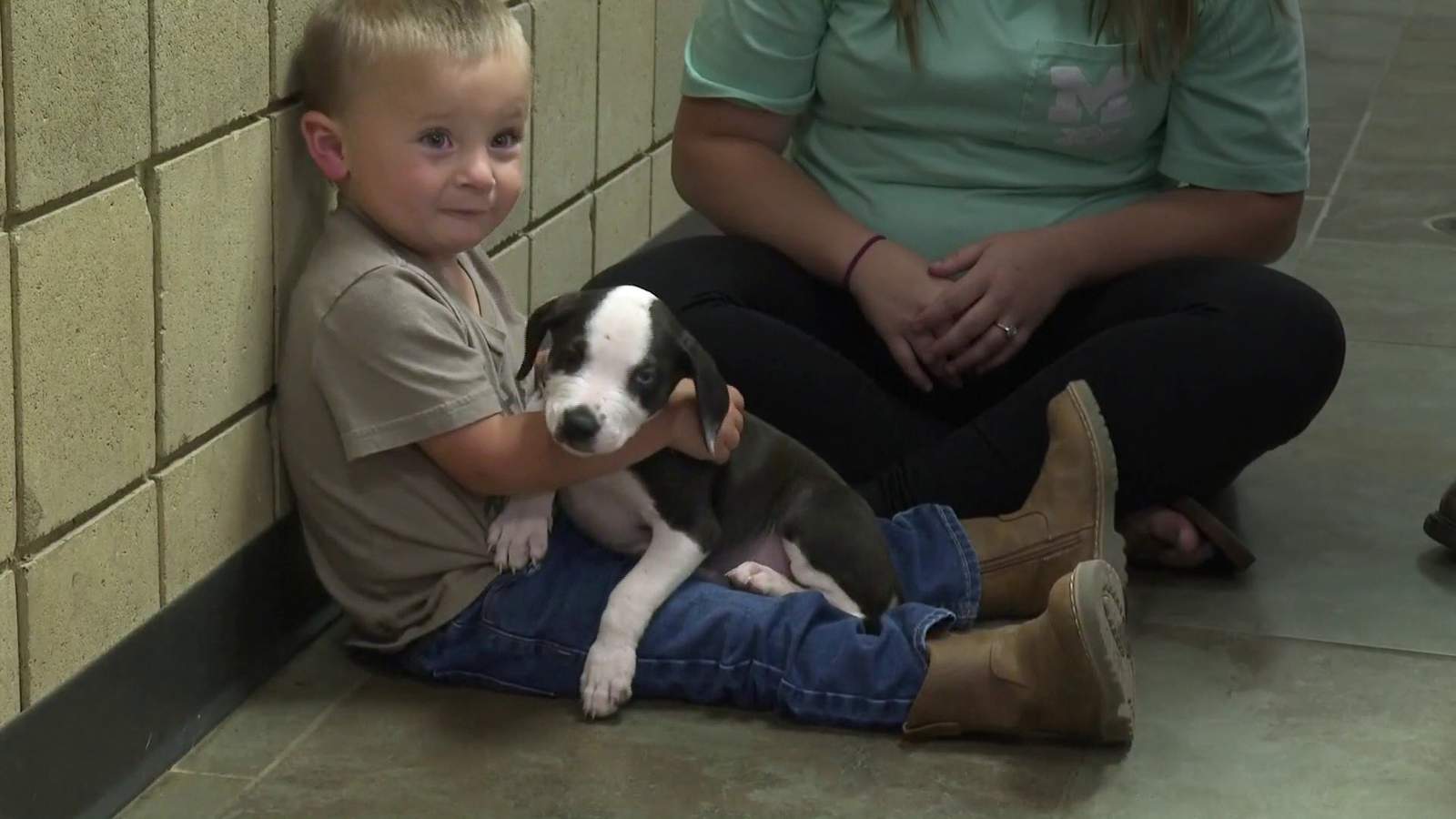 Puppy with cleft lip at Jackson animal shelter finds companion in boy with cleft lip