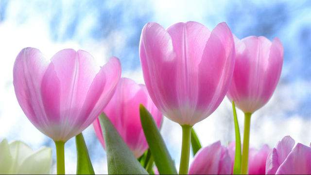 No description available