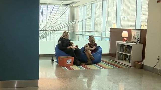 Ann Arbor Police Ask For Stuffed Animal Donations For New