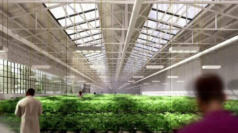 Former NBA star Chris Webber building $50 million cannabis facility in Detroit’s Corktown