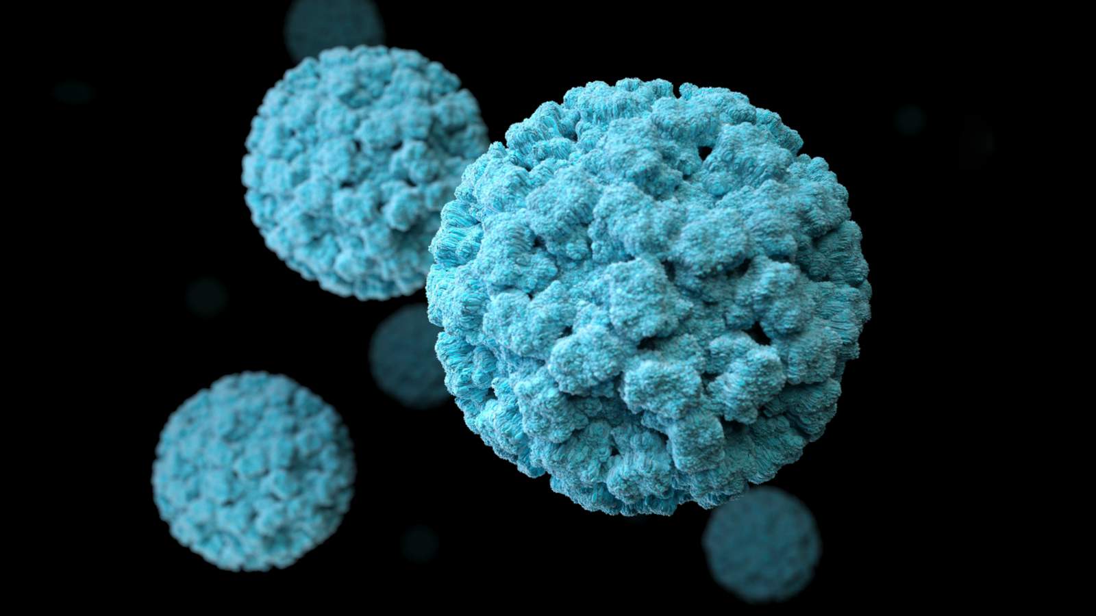 Michigan reports 206 new coronavirus deaths, highest daily total