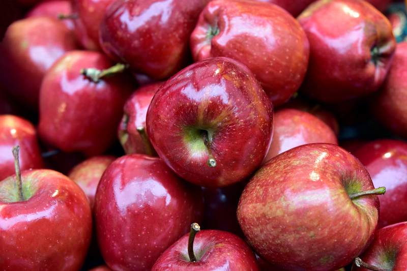 Michigan apple harvest expected to fall after cold April