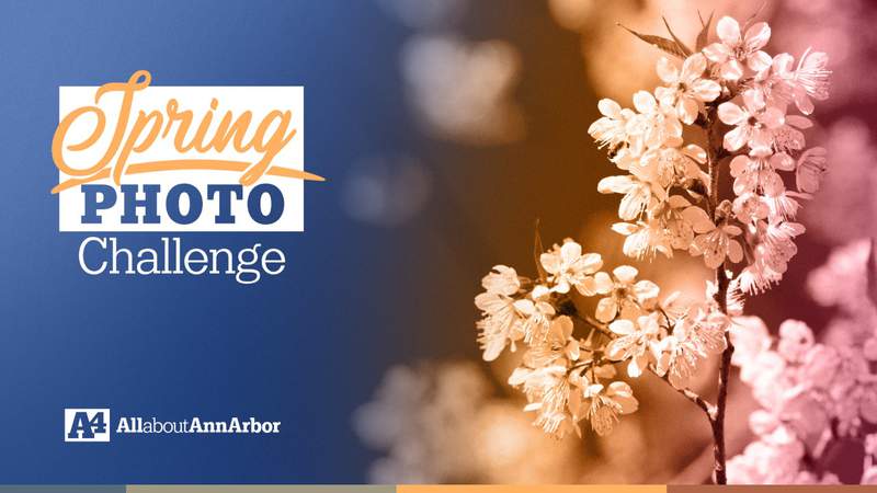 Submit your pictures to the A4 Spring Photo Challenge
