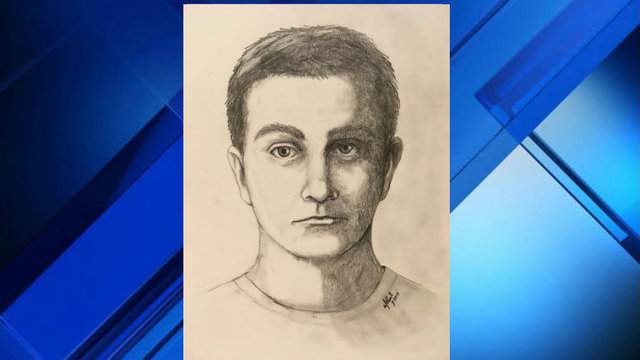 Hamburg Township release sketch of man who allegedly exposed himself to 2 teens