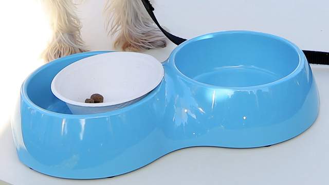 Pet food recall expanded; More than 70 dogs died from suspected poisoning