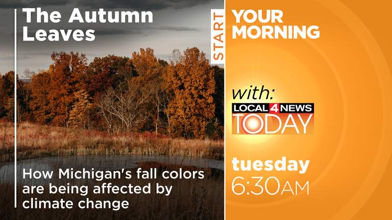 Michigan’s fall colors may be different in the future