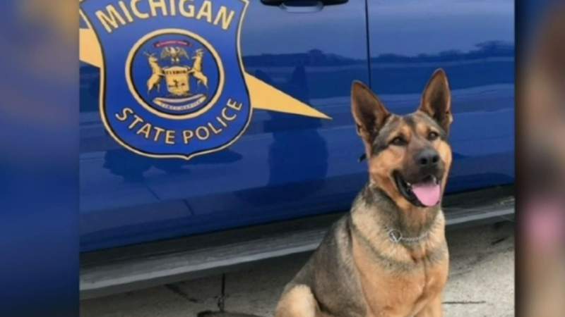 4 people injured, Michigan State Police K9 killed in violent crash on the Lodge Freeway in Detroit