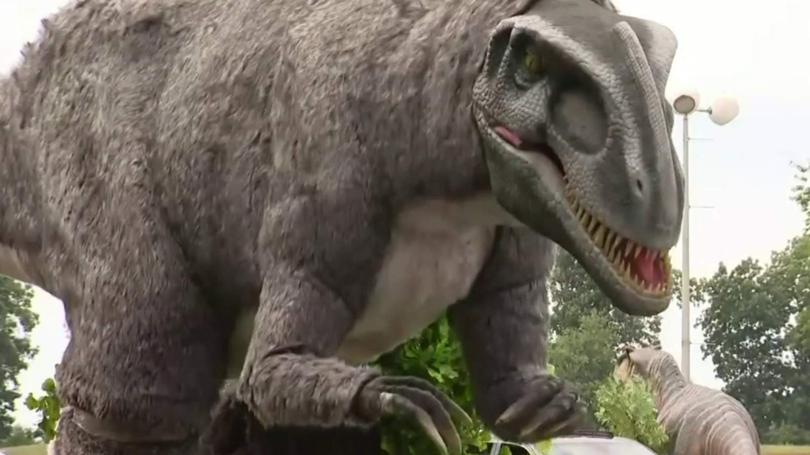 Jurassic Quests drive-thru dinosaur park is open to visitors at DTE Energy Music Theatre