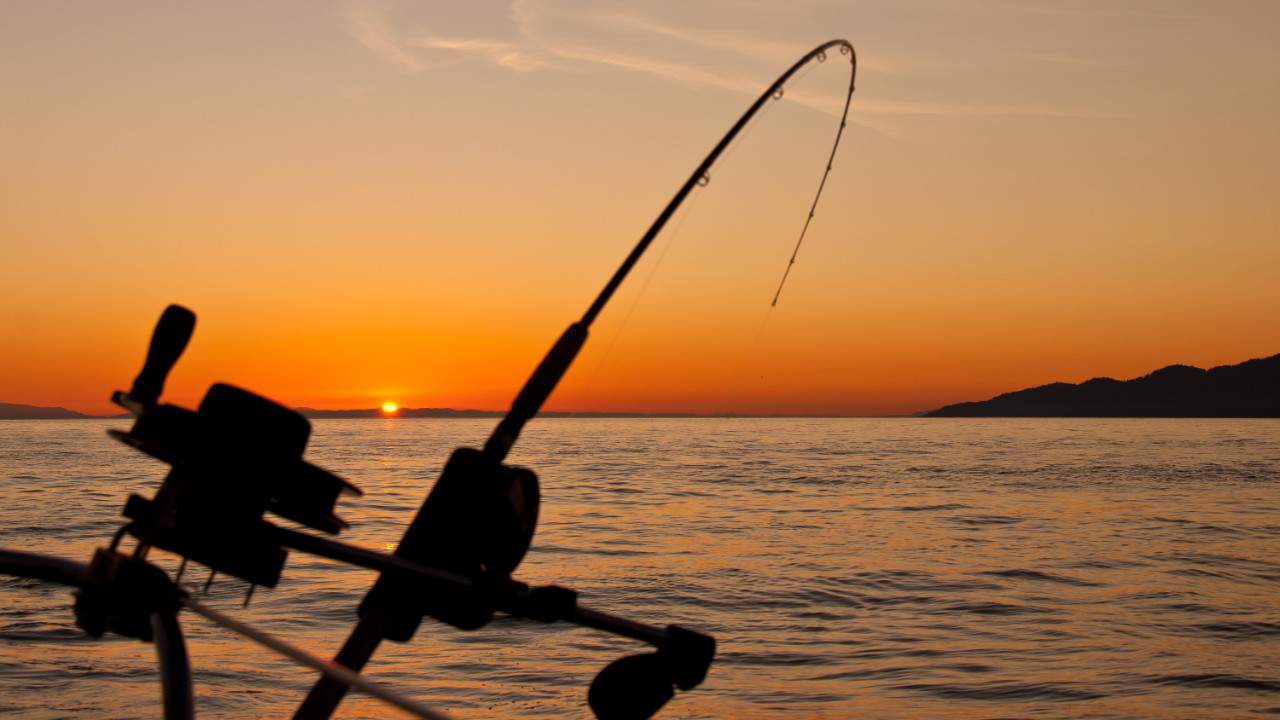 Michigan fishing licenses are free this weekend