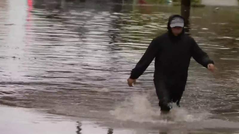 Detroit Water and Sewerage Department reports minimal flooding during major rainstorm