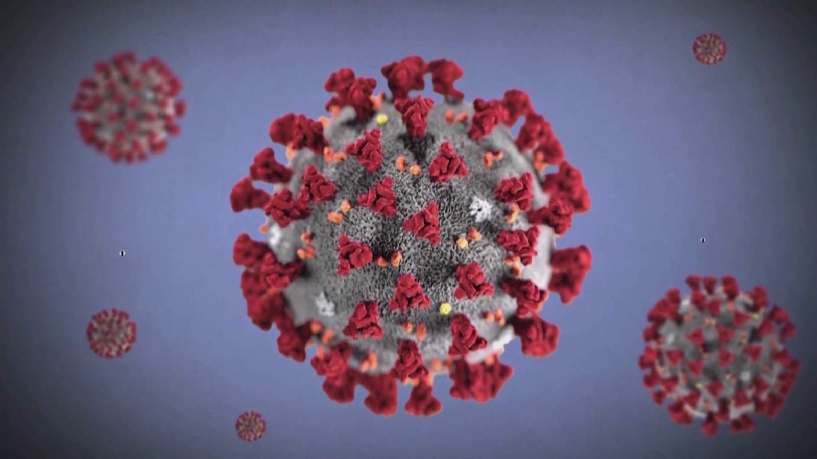 Coronavirus pandemic: How it has impacted the world