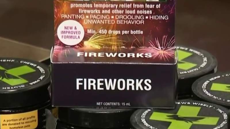 Keeping pets safe and calm during thunderstorms and fireworks