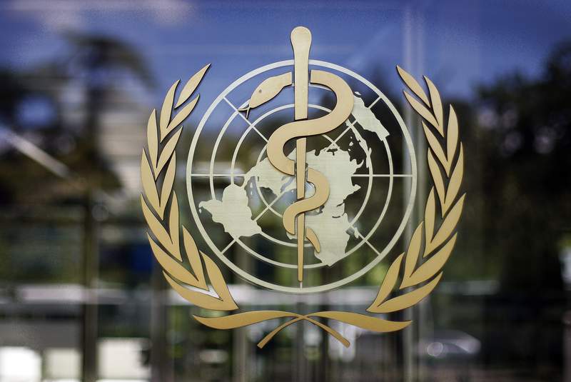 Panel suggests WHO should have more power to stop pandemics