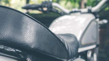 Motorcyclist Dies After Flying Turkey Strikes Him In Chest