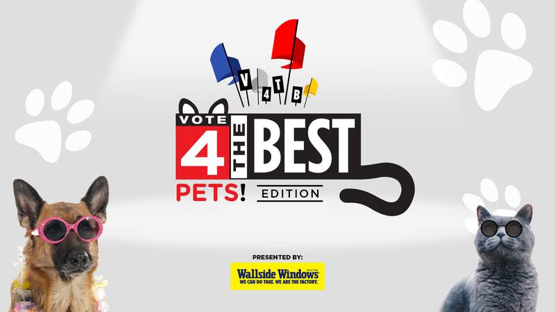 Vote 4 the Best: Pets - Voting Starts Thursday!