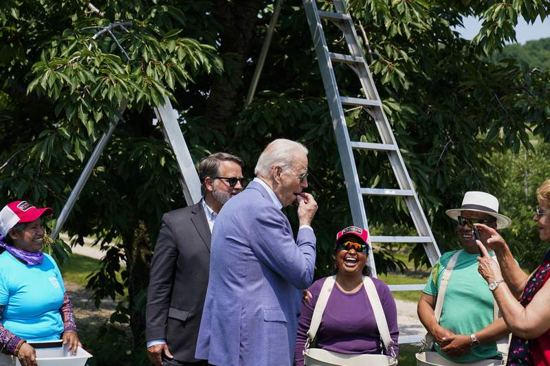 Biden goes in for cherries on campaign-style Michigan trip