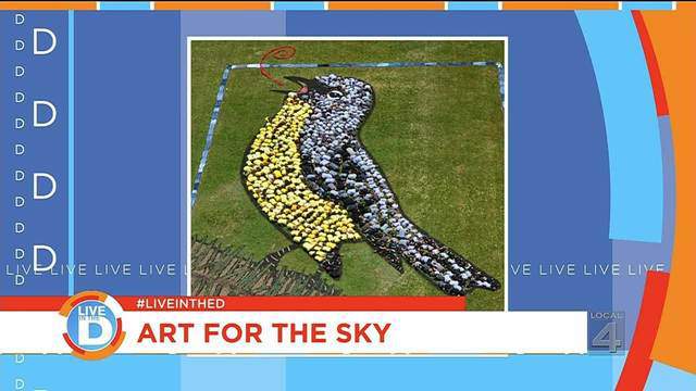 Art For the Sky program with the Wildlife Council