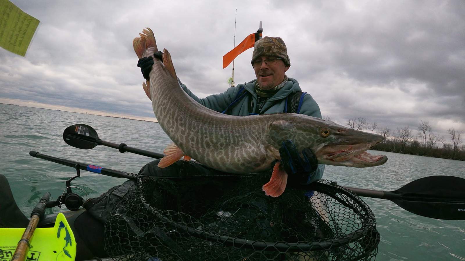 Man catches tiger muskie from Detroit River near Grosse Ile