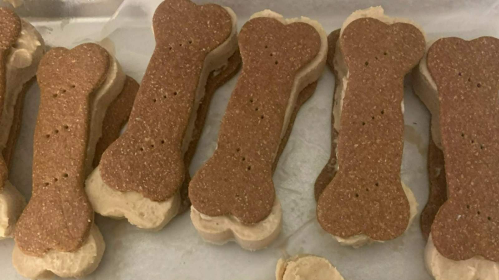 This summer treat will have your dog happily wagging its tail