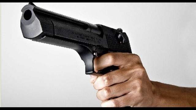 Cpl Holder Fires At Suspected Shoplifter S Getaway Vehicle In Auburn Hills