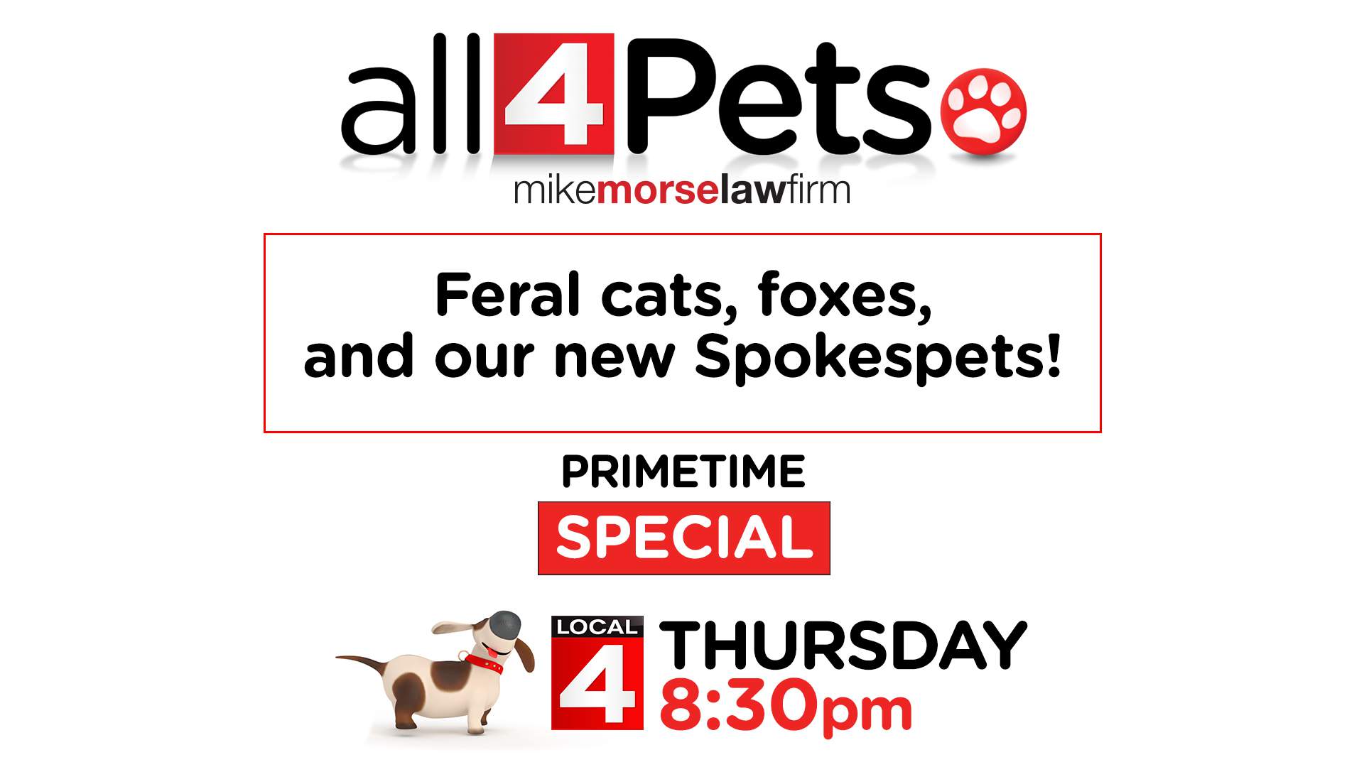 Watch full special here: ‘All 4 Pets’ special with feral cats, foxes, new Spokespets