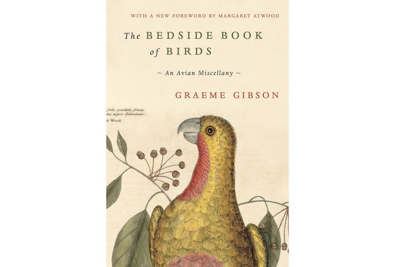 Birds as revelations: Atwood writes foreword for Gibson book