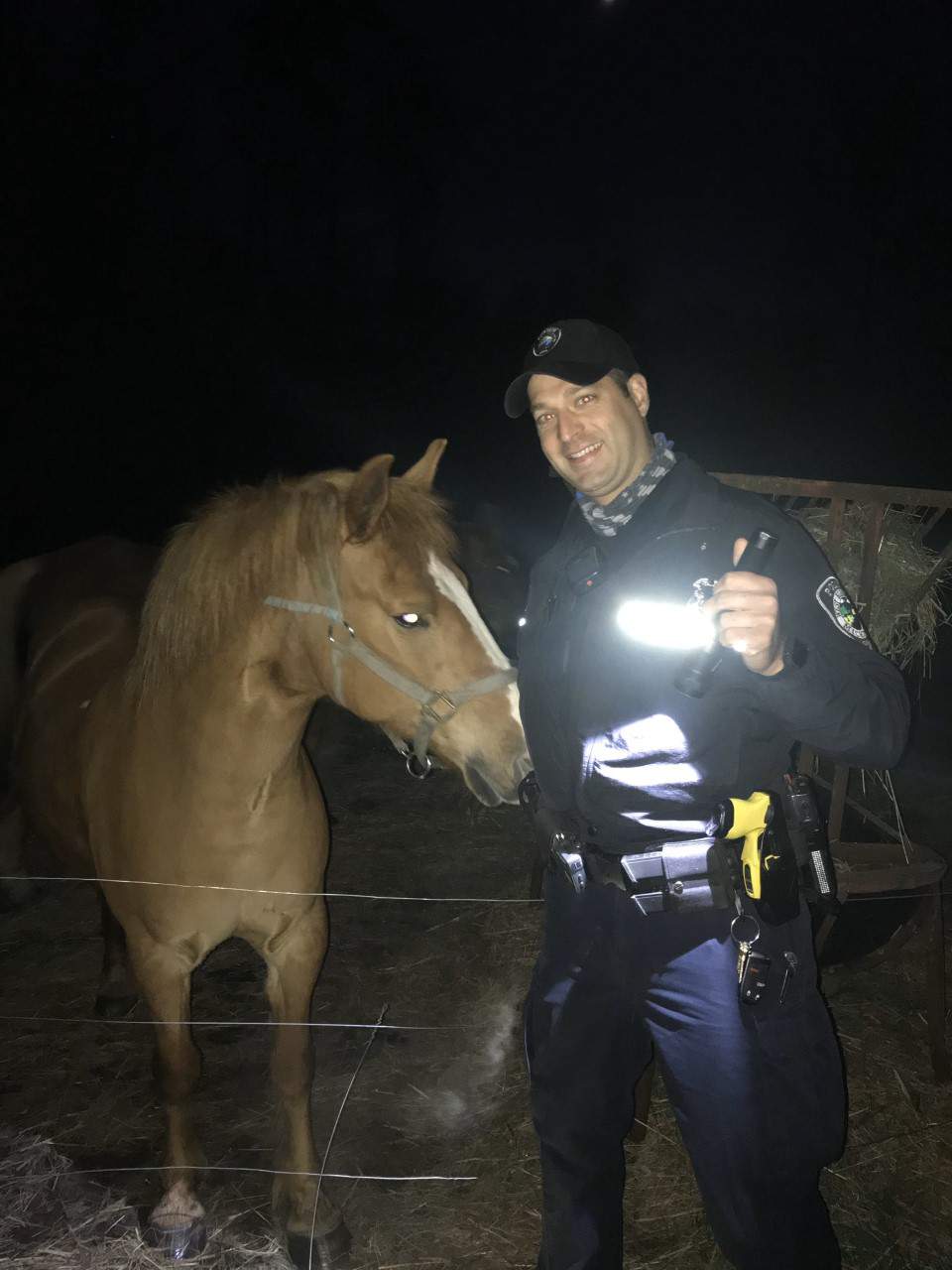 Pasture bedtime? Police return horse found standing in road in West Bloomfield