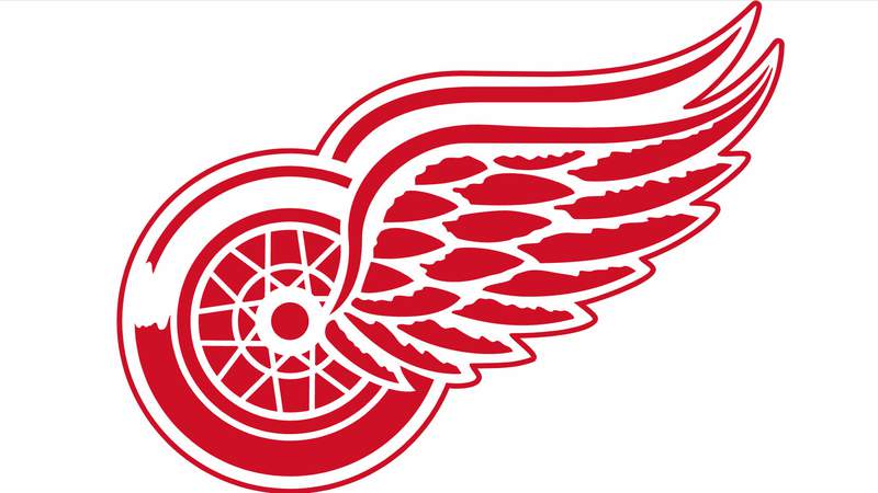 Detroit Red Wings will have 6th overall pick in 2021 NHL Draft