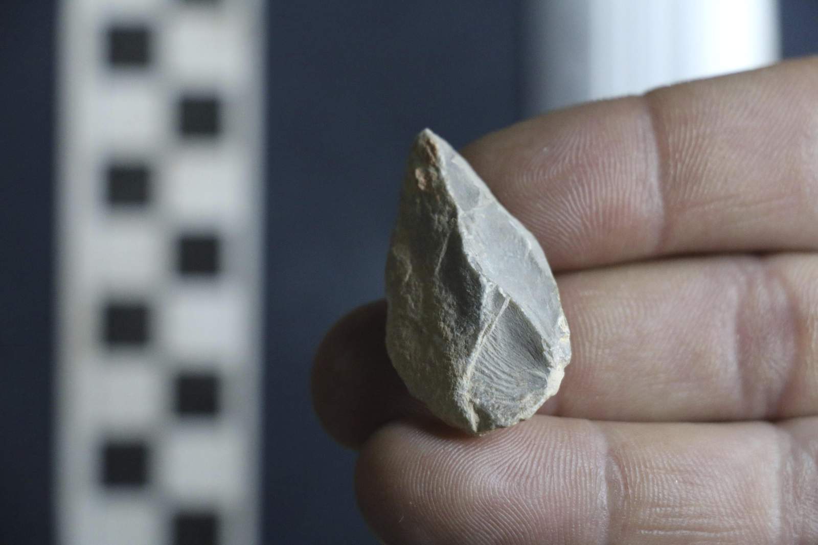Stone tools suggest earlier human presence in North America