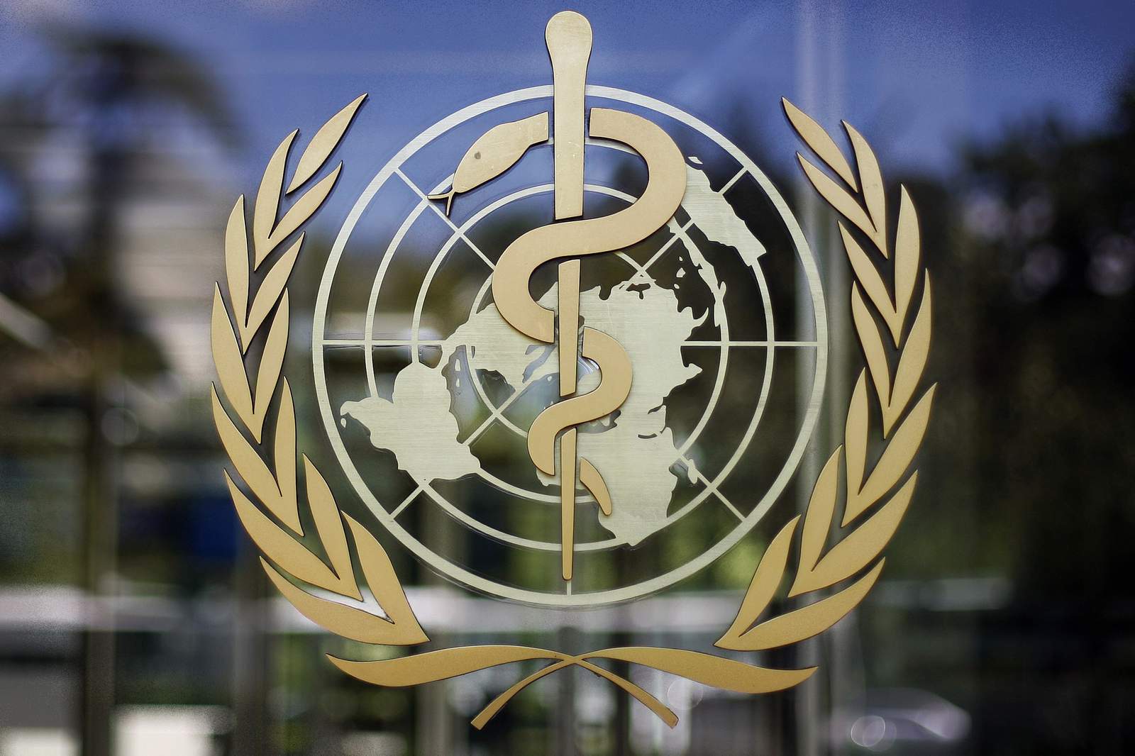 Internal email reveals 65 virus cases among WHO Geneva staff