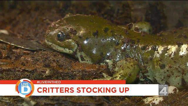 No description available