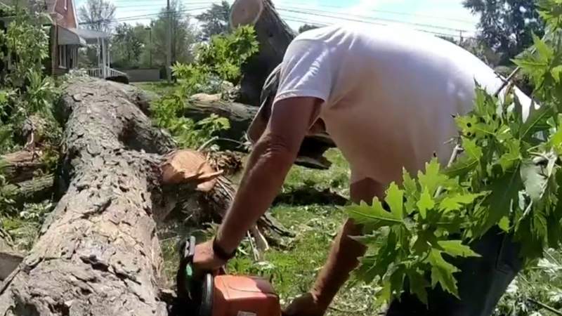 Company works to remove large tree from Berkley home after storms