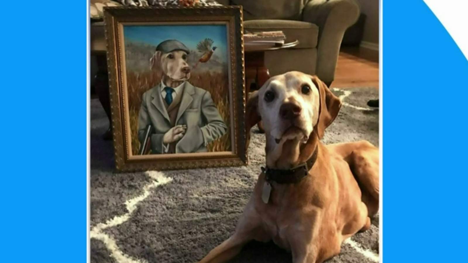 Capture your pet’s personality in a hand-painted portrait