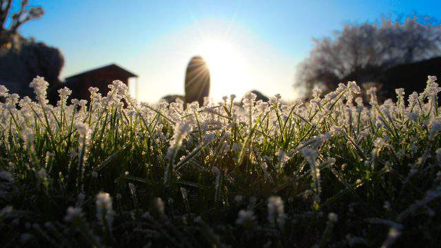 Frost advisory issued in Southeast Michigan for Saturday morning