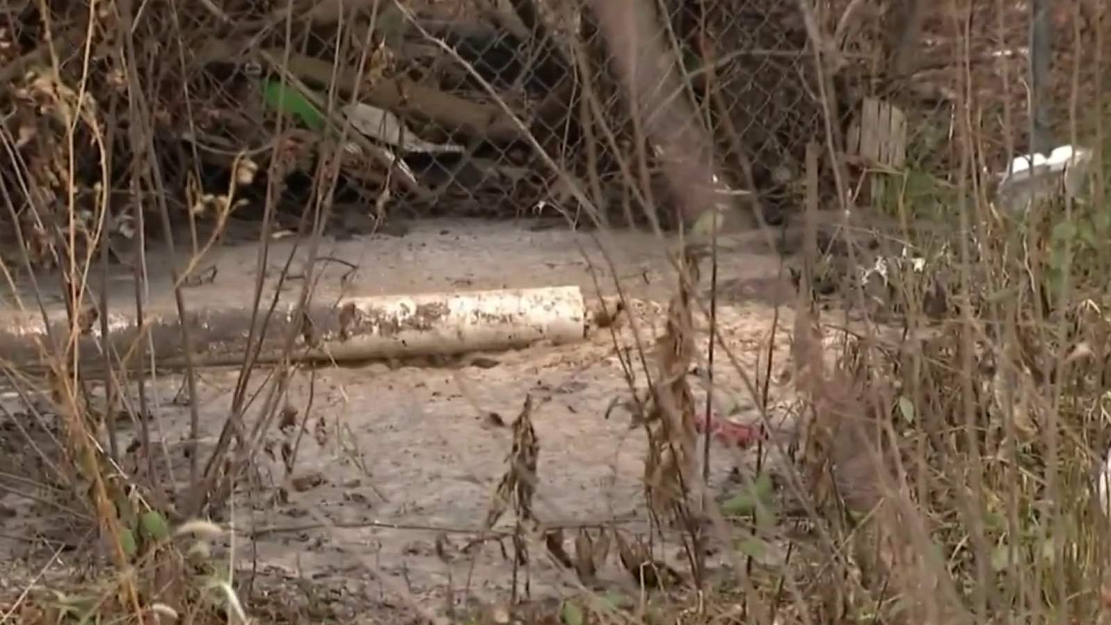 Detroit senior citizen claims neighbor is dumping raw sewage in backyard of home