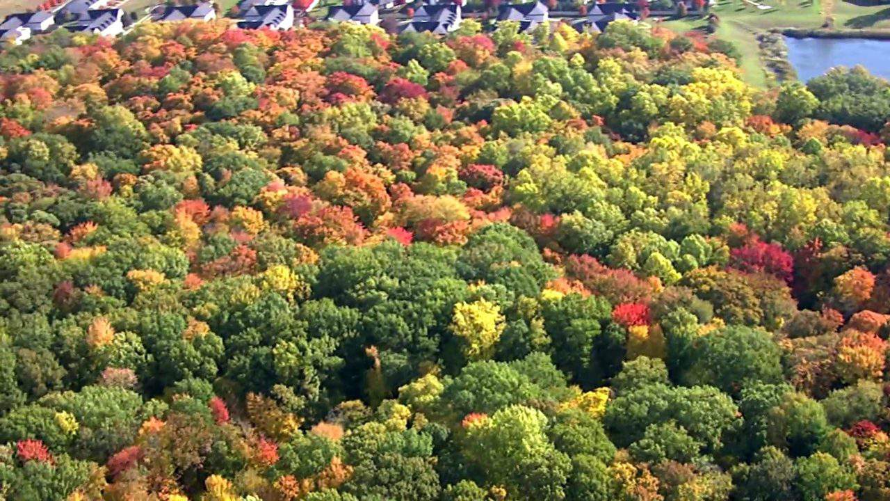 Share your Michigan fall foliage photos